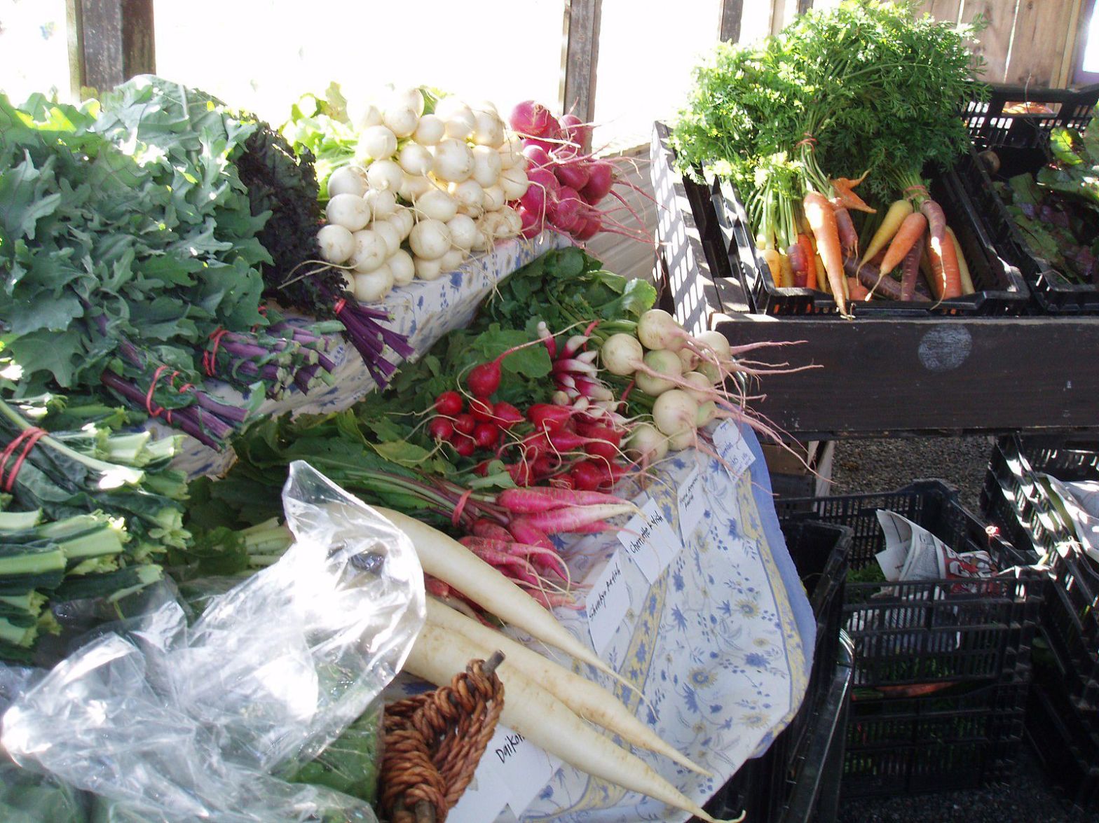 Market Style CSA at PVF West